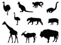 Wild animals silhouette - undomesticated animal species Royalty Free Stock Photo