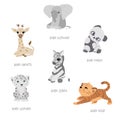 Wild animals vector collection set and their names. Hand drawn tiger, giraffe, zebra, elephant, leopard. Cartoon exotic