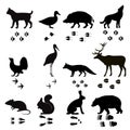 Wild animals vector paw footsteps black silhouette