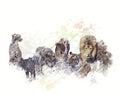 Wild Animals Watercolor Royalty Free Stock Photo