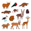 Wild animsls vector set, rare endandered animals. Flat style cartoon Vector illustration. Royalty Free Stock Photo