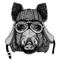 Wild aper, boar, hog, biker animal wearing motorcycle helmet. Hand drawn image for tattoo, emblem, badge, logo, patch, t Royalty Free Stock Photo