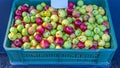 Wild Apples Crate Royalty Free Stock Photo