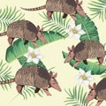 Wild armadillos with tropical foliage Royalty Free Stock Photo