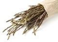 Wild asparagus spears Royalty Free Stock Photo