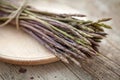 Wild asparagus spears in bunch Royalty Free Stock Photo