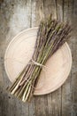 Wild asparagus spears in bunch Royalty Free Stock Photo