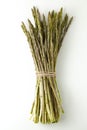 Wild asparagus spears in bunch Royalty Free Stock Photo