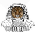 Wild astronaut animal in spacesuit. Deep space. Galaxy. Leopard head. Wild cat. Animal for african safari logo emblem.