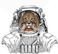 Lynx, bobcat. Wild astronaut animal in spacesuit. Deep space. Galaxy. Wild cat. Vector portrait of cat head.