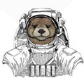 Otter space. Wild astronaut animal in spacesuit. Deep space. Galaxy.