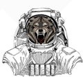 Vector portrait of wolf. Cool wild wolf. Wild astronaut animal in spacesuit. Deep space. Galaxy. Animal head. Royalty Free Stock Photo