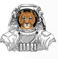 Wild astronaut animal in spacesuit. Deep space. Galaxy. Small baby lion head, face. Safari animal.