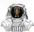 Wild astronaut animal in spacesuit. Deep space. Galaxy. Wild moose, elk portrait. Moose head, face.