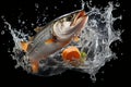 Wild atlantic salmon leaping out of the waters with big splash, black background