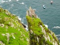 Wild Atlantic Way Ireland: Stunning but dizzying view from Skellig Michael`s steep unprotected rocky steps; tour boats wait below Royalty Free Stock Photo