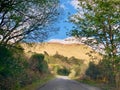 Wild Atlantic Way, Irish country lane Mayo