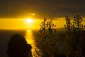 Wild atlantic way sunset flowers Royalty Free Stock Photo