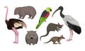 Wild Australian Animals and Birds Isolated on White Background Vector Set