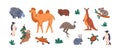 Wild Australian animals set. Exotic wildlife, south fauna of Australia. Different species, kangaroo, koala, camel