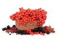 Wild Autumn Berry Fruit Royalty Free Stock Photo