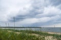 Wild beach with grass under stormy sky Royalty Free Stock Photo