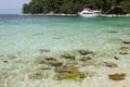 Wild beach near Thassos