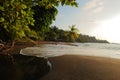 Wild beach and the ocean