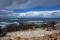 Wild beach on the Pacific ocean Royalty Free Stock Photo