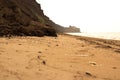 Wild beach sea waves coastline