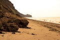 Wild beach sea waves coastline