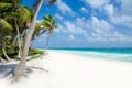 Wild Beach at Tulum Royalty Free Stock Photo