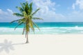 Wild Beach at Tulum Royalty Free Stock Photo