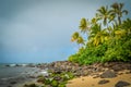 Wild Beach Royalty Free Stock Photo