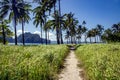 Wild beautiful beach on a small island in the Indian Ocean Royalty Free Stock Photo