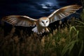 Wild beautiful owl flying in field at night. Generative AI