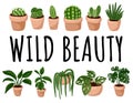 Wild beauty banner. Set of hygge potted succulent plants postcard. Cozy lagom scandinavian style collection of plants