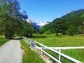 Wild beauty of Prokletije mountain