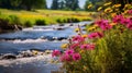 The wild beauty of vibrant wildflowers by a riverbank Royalty Free Stock Photo