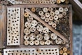 Wild bee prob. mason bee Osmia on an artificial nesting aid insect hotel