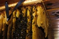 Wild bees and honeycomb in the attic