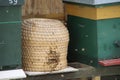 Wild bees swarm around a thatched beehive at a beekeeper work area in Nieuwerkerk aan den IJssel in the Netherlands