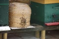 Wild bees swarm around a thatched beehive at a beekeeper work area in Nieuwerkerk aan den IJssel in the Netherlands