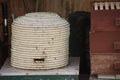 Wild bees swarm around a thatched beehive at a beekeeper work area in Nieuwerkerk aan den IJssel in the Netherlands