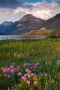 Wild Bergamot and the Prince of Wales Hotel in Waterton Lakes National Park Royalty Free Stock Photo