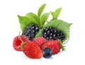 Wild berries. Blackberries, raspberries, strawberries, bilberry and green leaves isolated on white Royalty Free Stock Photo