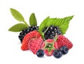 Wild berries. Blackberries, raspberries, strawberry, bilberries and green leaves isolated on white Royalty Free Stock Photo