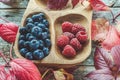 Wild berries, lots of blueberries and raspberries in an eco-friendly wooden Cup on a wooden table with autumn leaves Royalty Free Stock Photo