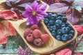Wild berries, lots of blueberries and raspberries in an eco-friendly wooden Cup on a wooden table with autumn leaves Royalty Free Stock Photo