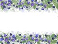 Wild berries and meadow plants. Blackberries and Bell Flowers. Horizontal frame with Berries, campanula, spikelet Royalty Free Stock Photo